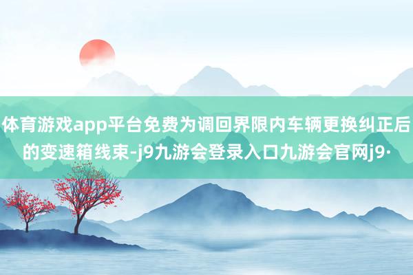 体育游戏app平台免费为调回界限内车辆更换纠正后的变速箱线束-j9九游会登录入口九游会官网j9·