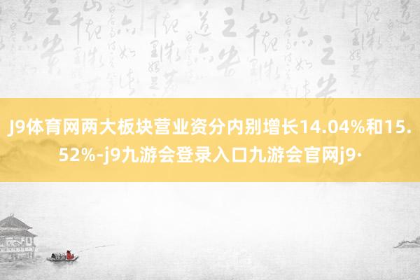 J9体育网两大板块营业资分内别增长14.04%和15.52%-j9九游会登录入口九游会官网j9·