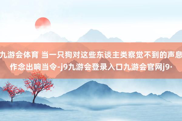 九游会体育 当一只狗对这些东谈主类察觉不到的声息作念出响当令-j9九游会登录入口九游会官网j9·
