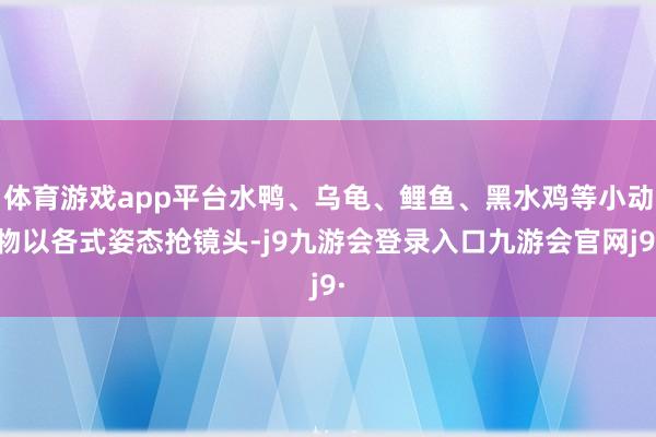 体育游戏app平台水鸭、乌龟、鲤鱼、黑水鸡等小动物以各式姿态抢镜头-j9九游会登录入口九游会官网j9·