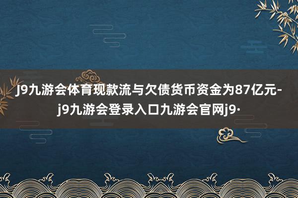 J9九游会体育　　现款流与欠债　　货币资金为87亿元-j9九游会登录入口九游会官网j9·